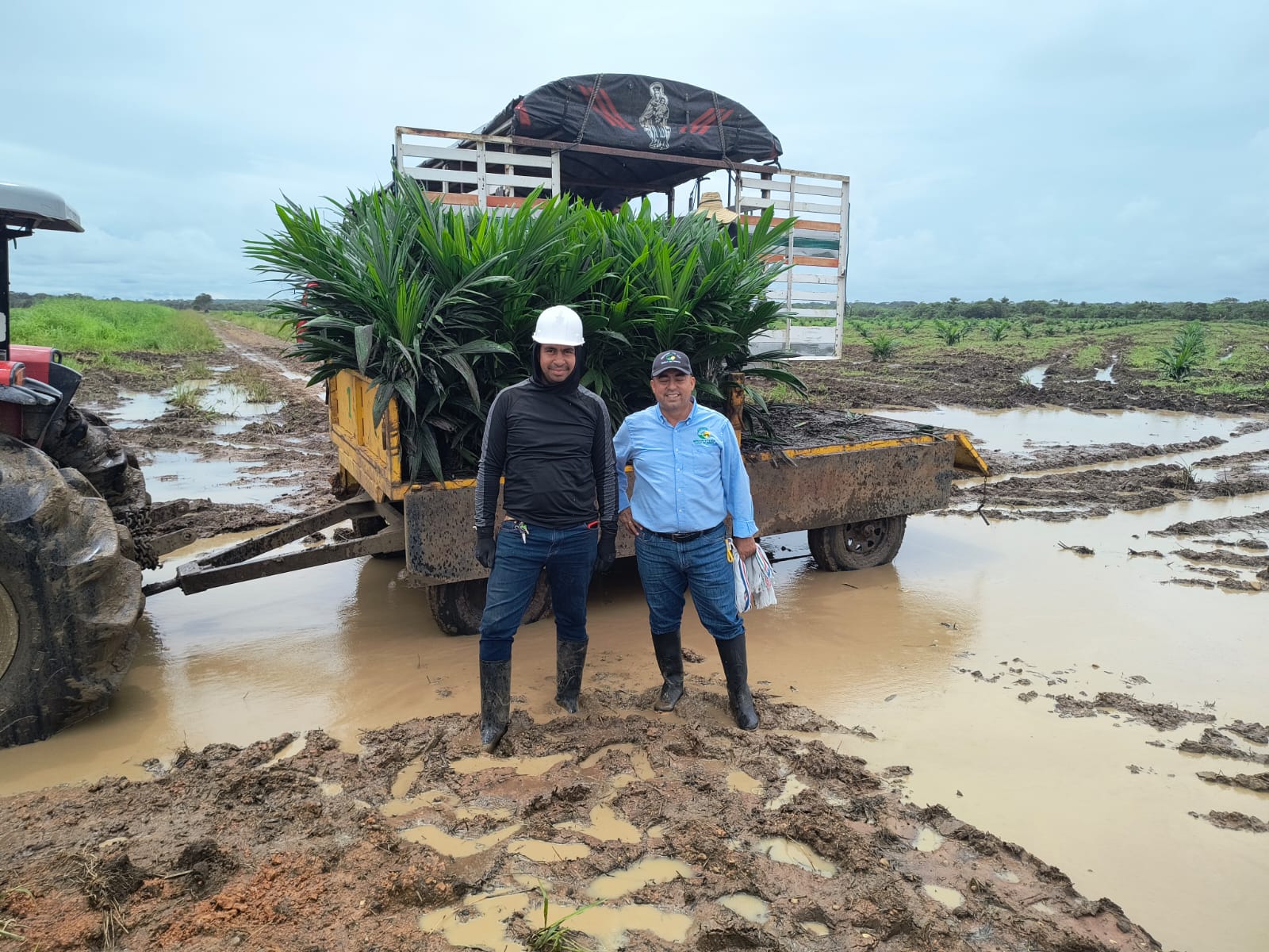 Plantación Entre aguas Bongo del Meta SAS - Fuente de Oro, Meta