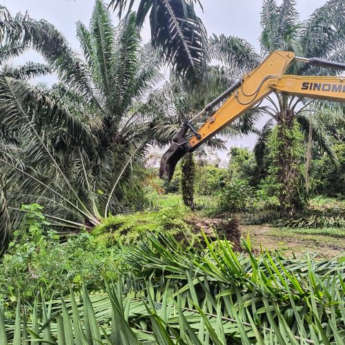 Erradicación con retro2